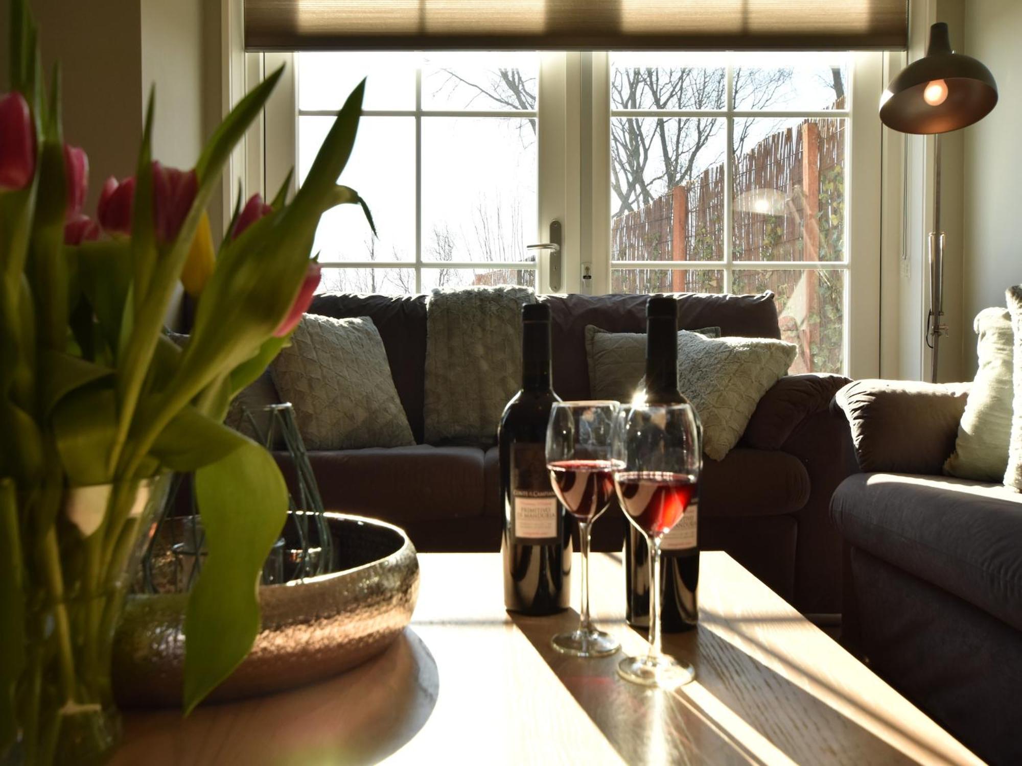 Luxurious Villa In Schoorl With Garden Schoorldam エクステリア 写真